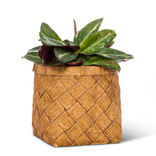 Load image into Gallery viewer, Wide Weave Ceramic Planter
