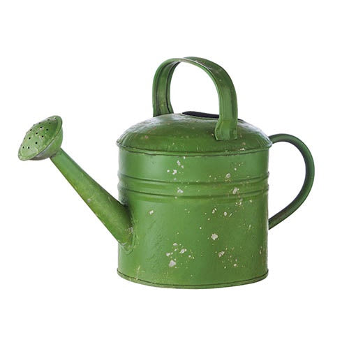 Green Metal Watering Can
