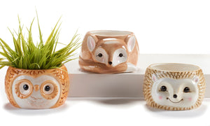 Ceramic Animal Planter