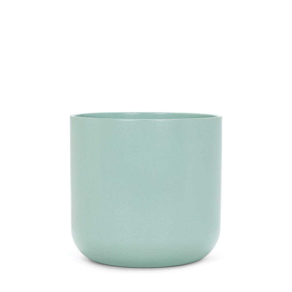 Classic Planter Mint