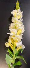 Load image into Gallery viewer, Snap Dragon Stem
