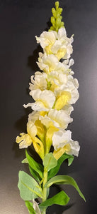 Snap Dragon Stem