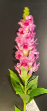 Load image into Gallery viewer, Snap Dragon Stem
