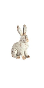 Distressed Bunny