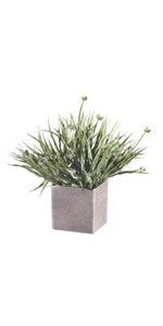 Potted Grass With Flowers