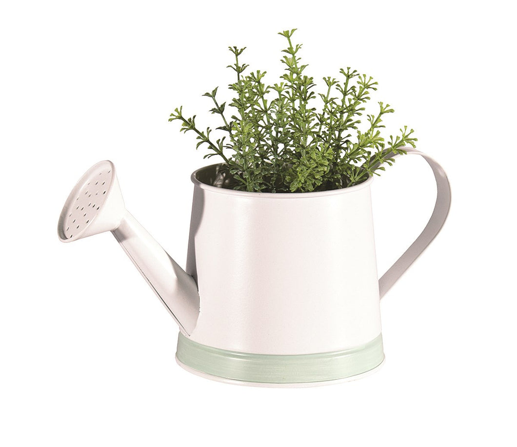Watercan Planter