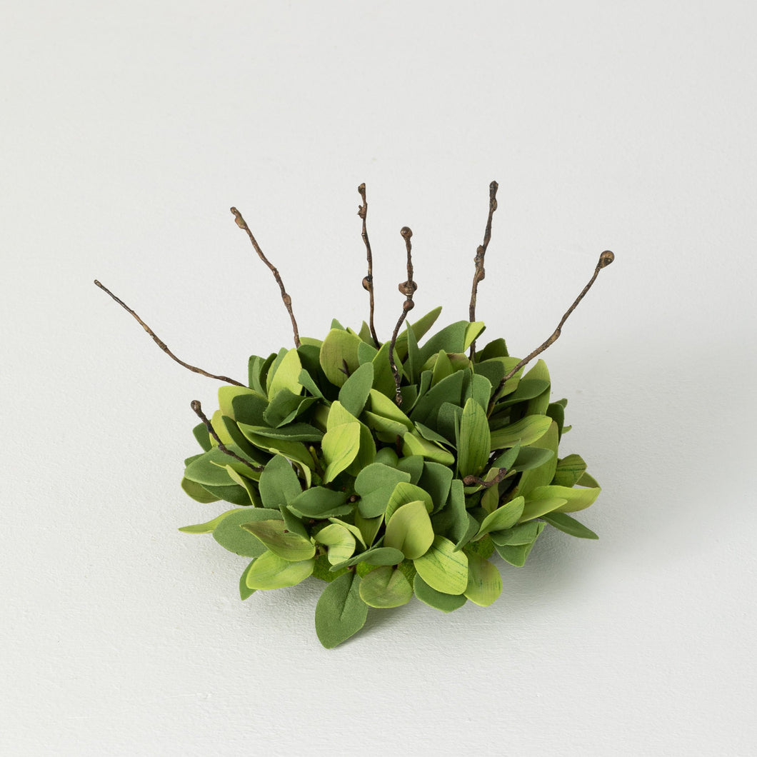 Ruscus 1/2 Orb