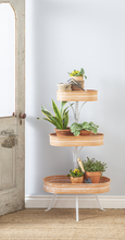 Load image into Gallery viewer, 3 Tier Tera Plant Stand Iron
