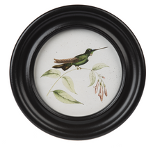 Load image into Gallery viewer, Round Framed Hummingbird Print
