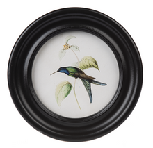Load image into Gallery viewer, Round Framed Hummingbird Print
