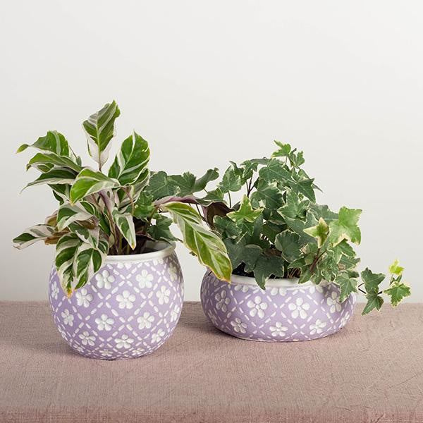 Cement Flower Pot w/White Flowers