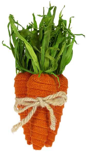 Burlap Carrot