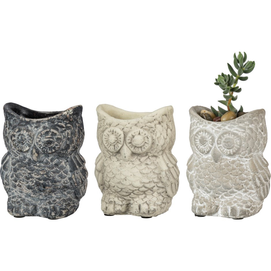 Owl Planter