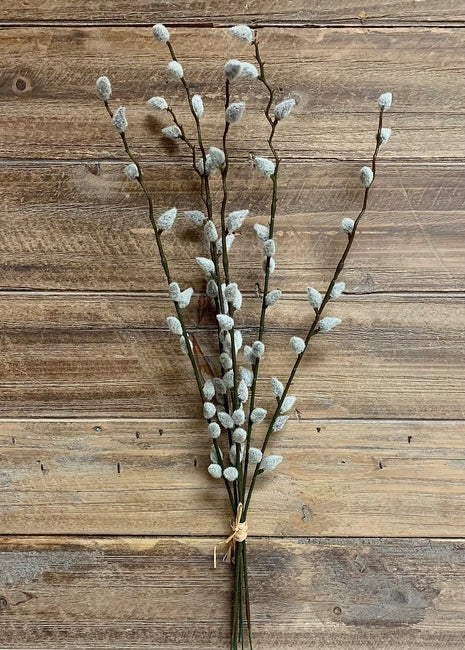 Pussy Willow Bundle