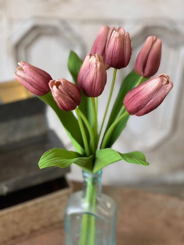 Aurora Tulip Bundle Wine