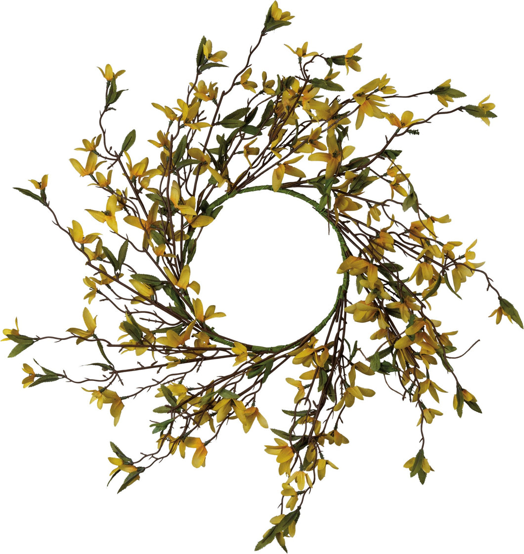 Forsythia Wreath